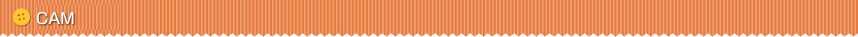 CAD