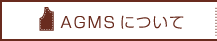 AGMSɂ